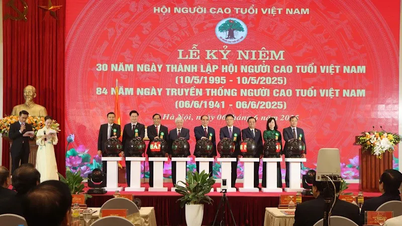 El Comité Central de la Asociación de Ancianos de Vietnam recibió la Medalla Laboral de Primera Clase