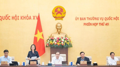 Chủ hộ kinh doanh bị thu BHXH sai được hưởng lương hưu