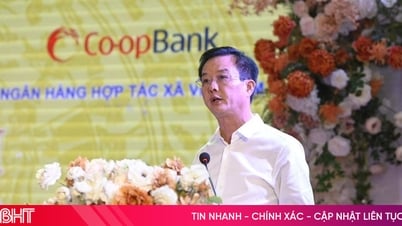Đảm bảo quỹ tín dụng nhân dân phát triển hiệu quả, bền vững