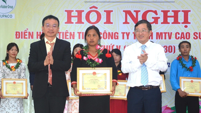 Công ty Cao su Chư Păh tuyên dương 60 cá nhân điển hình tiên tiến
