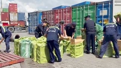 Hải quan phối hợp phát hiện buôn lậu thuốc lá và vận chuyển ma túy quy mô lớn