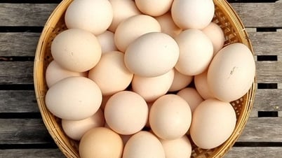 Thực phẩm 'tiếp sức mùa thi' cho các sĩ tử có sức khỏe, không bị ốm
