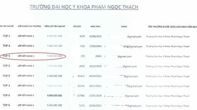 นักศึกษาแพทย์ชั้นปีสุดท้ายสูญเงิน 7 พันล้านดอง แข่งขันชิงบัญชีสูงสุด