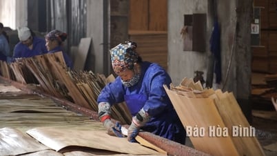 Kinh tế dưới tán rừng