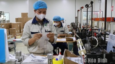 “Đại lộ” đã mở cho kinh tế tư nhân