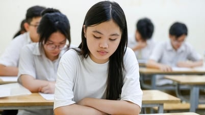 أسئلة وأجوبة امتحان اللغة الإنجليزية للصف العاشر في هانوي عام 2025 رموز الامتحان الغريبة