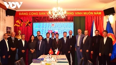 Tăng cường hợp tác giáo dục-đào tạo giữa Việt Nam-Cộng hòa Séc