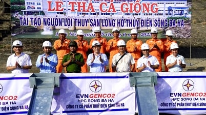 Thả cá giống tái tạo nguồn lợi thủy sản lòng hồ Thủy điện Sông Ba Hạ