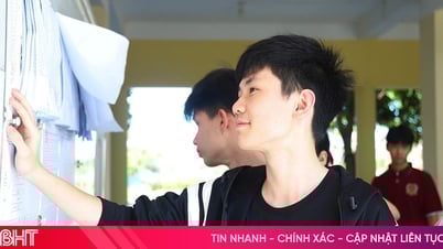 Ha Tinh planea anunciar los resultados del examen de ingreso de décimo grado antes del 18 de junio.