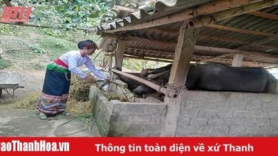 Thường Xuân phát huy hiệu quả nguồn vốn tín dụng chính sách