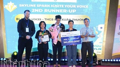 Finale des englischen Debattierwettbewerbs „Skyline Spark ignite your voice“