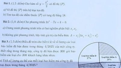 Đề toán thi vào lớp 10 TP.HCM, thí sinh đánh giá trái ngược nhau