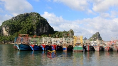 Đảm bảo hạ tầng tránh trú bão