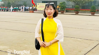 Ấn tượng từ Mùa hoa điều nở đến Hoa rêu
