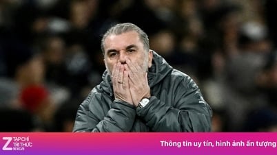 Tottenham quá tàn nhẫn khi sa thải Postecoglou?