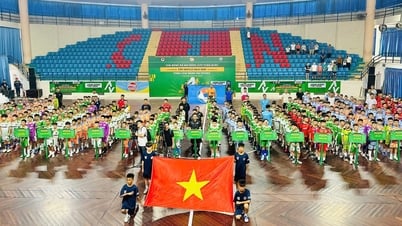 Khai mạc vòng loại Giải Bóng đá Nhi đồng toàn quốc U11