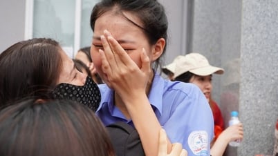 Questions et réponses de l'examen de mathématiques pour l'examen d'entrée en 10e année à Hô-Chi-Minh-Ville 2025 : « 10 élèves ont pleuré, 1 élève a ri »