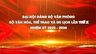 Trailer Đại hội Đảng bộ Văn phòng Bộ VHTTDL lần thứ X nhiệm kỳ 2025 - 2030