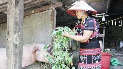 Người “giữ lửa” ở thôn Paris - Kavin