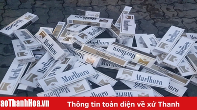 Hải quan liên tiếp triệt phá hai vụ buôn lậu và vận chuyển ma túy lớn