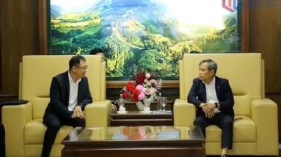Đồng chí Bí thư Tỉnh ủy tiếp xã giao Hiệp hội Xúc tiến Phát triển Khu công nghiệp Tô Châu (Trung Quốc)
