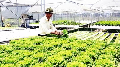 Lựa chọn sản phẩm tham dự chương trình Thương hiệu Việt nông nghiệp Việt Nam 2025