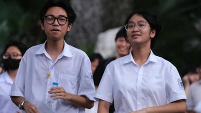 Bài giải 24 mã đề môn tiếng Anh thi lớp 10 Hà Nội
