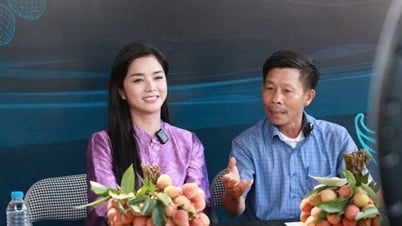 Aumento del consumo de productos agrícolas de Luc Ngan en plataformas digitales