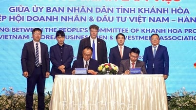 Thúc đẩy hợp tác với doanh nghiệp Hàn Quốc