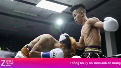 Tran Van Thao a raté la ceinture WBO Asie