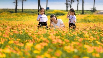 Dự báo thời tiết Nghệ An ngày 8/6: Nắng nóng gay gắt, có nơi 38 độ C
