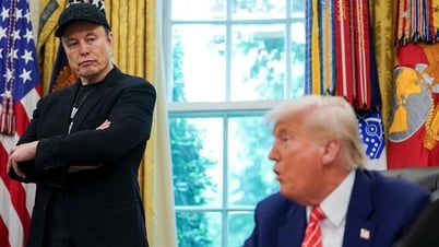 Cuộc chiến giữa Donald Trump và Elon Musk tác động thế nào đến Hollywood?