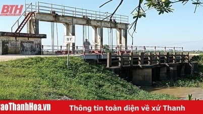 Đẩy nhanh tiến độ sửa chữa, nâng cấp hồ đập trước mùa mưa bão