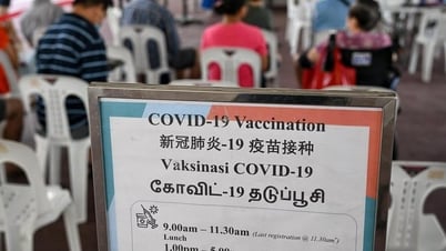 Singapore bác tin đồn khám nghiệm tử thi bệnh nhân COVID-19, phát hiện mới về nguyên nhân gây dịch