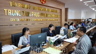 การนำบริการสาธารณะออนไลน์มาปฏิบัติเมื่อจัดระเบียบรัฐบาลท้องถิ่น 2 ระดับ: พอร์ทัลบริการสาธารณะแห่งชาติเป็นจุดรวมศูนย์แบบ "หน้าต่างเดียว"