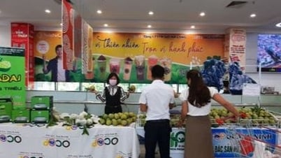 Young people inspire 'green' startups