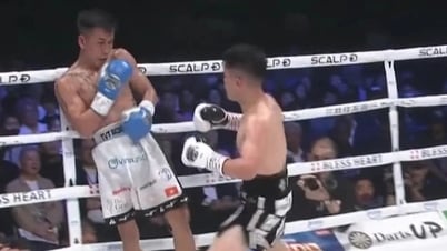 นักมวยเวียดนามพ่ายแชมป์โลก พลาดชิงเข็มขัด WBO เอเชีย