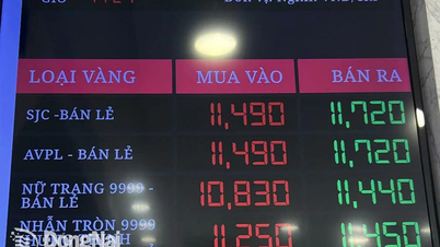 Le prix du lingot d'or a soudainement chuté à 117,2 millions de VND/tael