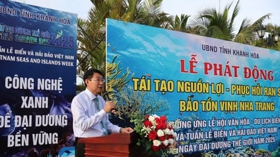 Khánh Hòa phát động tái tạo nguồn lợi biển - Hành động vì đại dương xanh