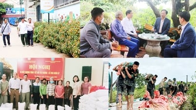 បន្ត​ពង្រឹង​ការងារ​ប្រមូល​កម្លាំង​របស់​អាជ្ញាធរ​គ្រប់​លំដាប់​ថ្នាក់​ក្នុង​ស្ថានភាព​ថ្មី។