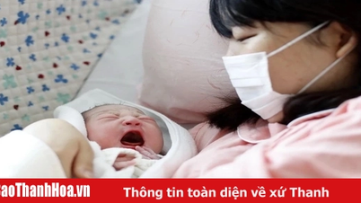 저출산율: 아시아 경제의 딜레마