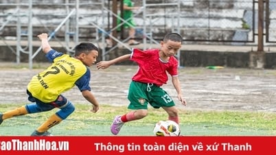 ការប្រកួតបាល់ទាត់កុមាររបស់កាសែត Thanh Hoa លើកទី៤៖ ការប្រកួត "វគ្គផ្តាច់ព្រ័ត្រ" ដ៏ក្ដៅគគុកសម្រាប់ក្រុមអាយុក្រោម ១០ ឆ្នាំ
