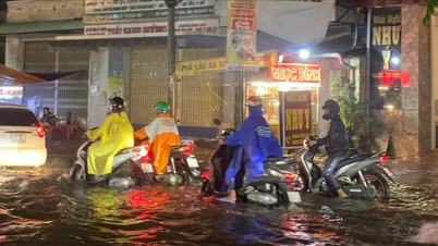 Mekong Delta: Saltwater intrusion no longer affects production, warning of major high tides
