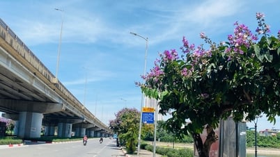 Clima el 8 de junio: Hanoi y provincias del norte soleados durante el día, tormentas eléctricas por la noche.
