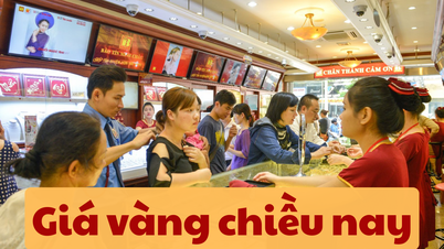 Giá vàng chiều nay 8/6/2025 trong nước giảm mạnh, khoảng cách với vàng thế giới tăng lên 8,64 triệu