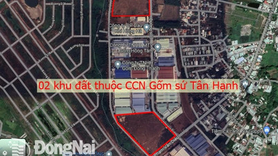 Zwei Grundstücke werden in der Stadt Bien Hoa versteigert