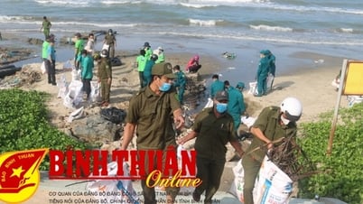 Chiến dịch Cùng hành động vì biển xanh tại Mũi Né