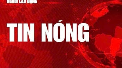 Kriminalpolizei von Ho-Chi-Minh-Stadt rettet entführten, psychisch manipulierten Teenager