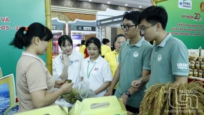 Featured Cultural and commercial exchange space between Gyeongsangbuk-do province (Korea) and Thai Nguyen province