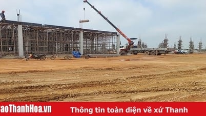 Hậu Lộc đẩy nhanh giải phóng mặt bằng các dự án